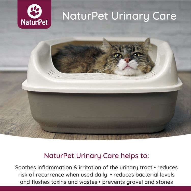 [宠物专用] 加拿大NaturPet泌尿系统养护滴剂 100ml 改善尿路感染 预防肾结石 猫狗可用