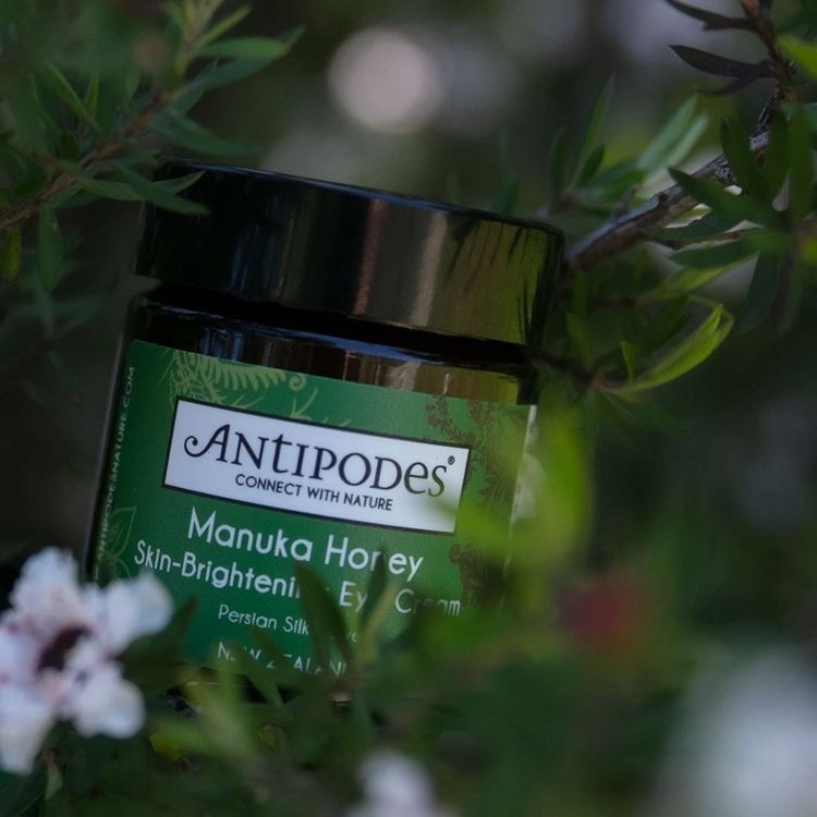 Antipodes, Manuka Honey Skin-Brightening Light Day Cream, 60ml