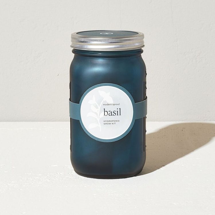 Modern Sprout, Garden Jar - Basil Kit