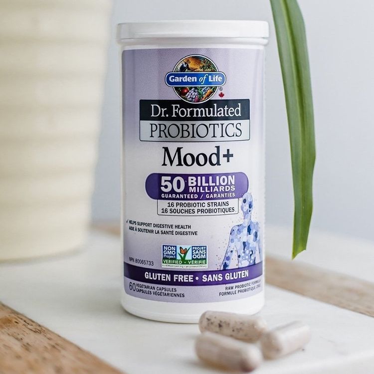 Garden of Life, Dr. Formulated Probiotics Mood+, 60 Capsules