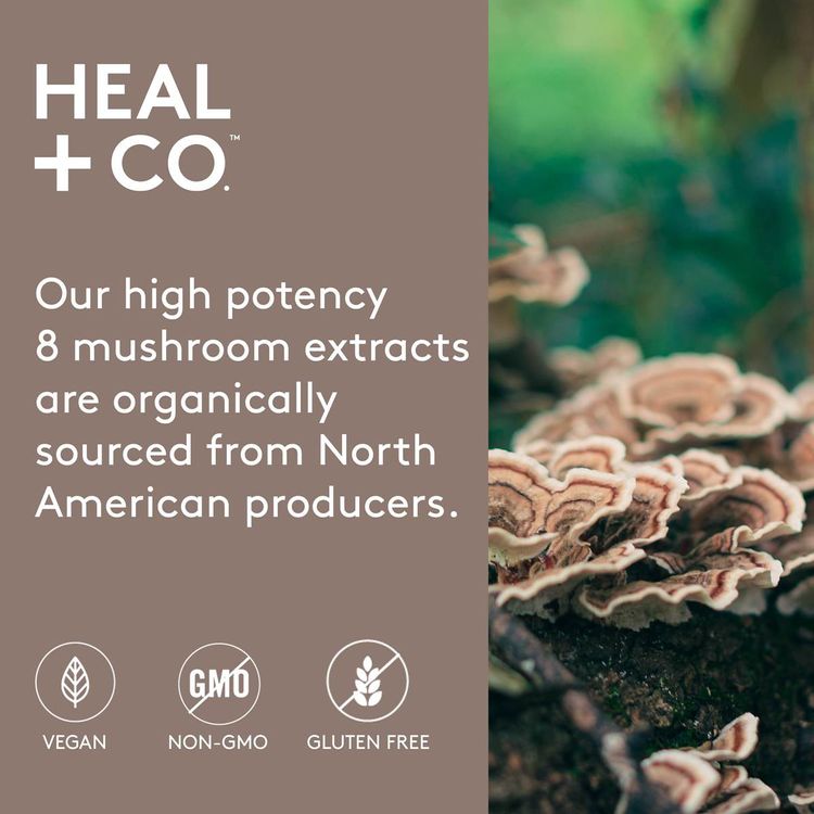 加拿大Heal+Co. 8种蘑菇精华滴剂 50毫升 巧克力味 提升免疫