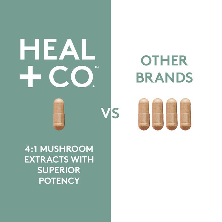 Heal+Co., Super Mushroom Complex (4:1) 500mg, 120 Capsules