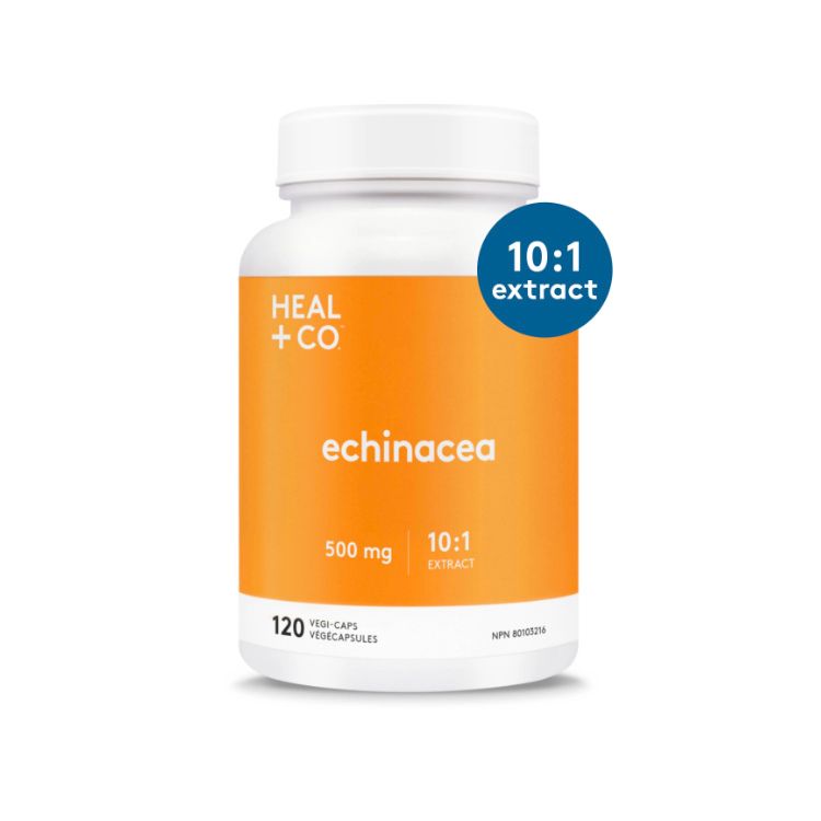 Heal+Co., Echinacea (10:1 extract) 500mg, 120 Capsules