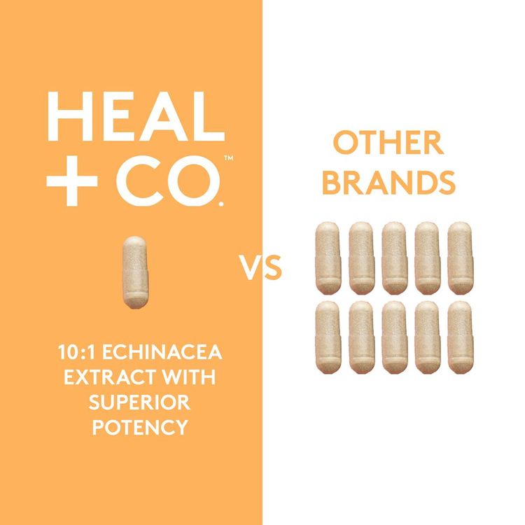 Heal+Co., Echinacea (10:1 extract) 500mg, 120 Capsules