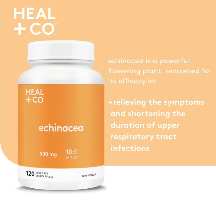 Heal+Co., Echinacea (10:1 extract) 500mg, 120 Capsules