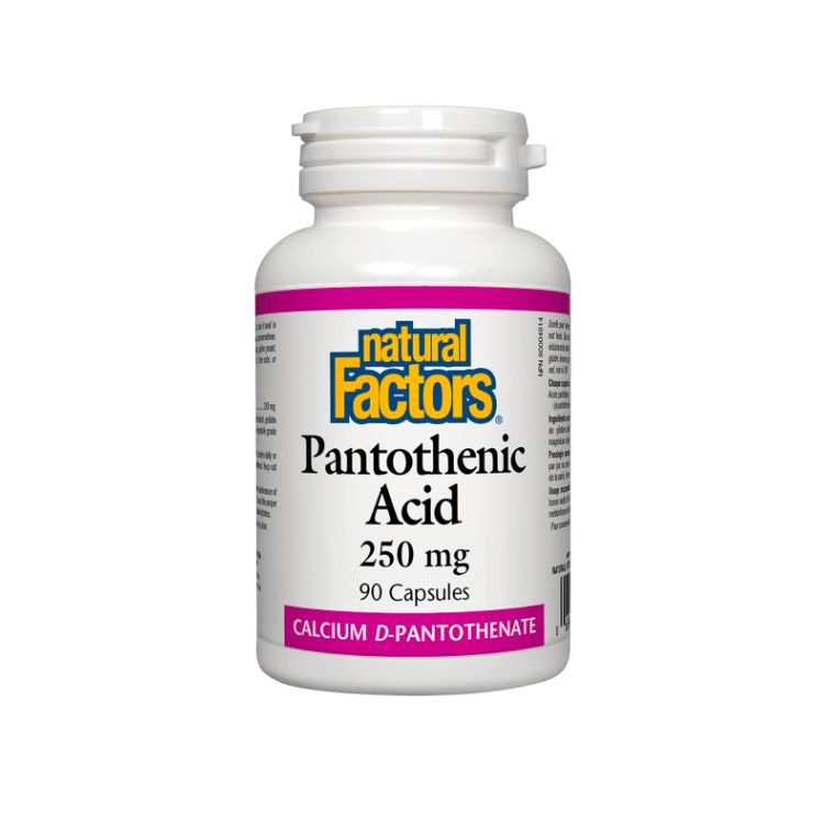 Natural Factors, Pantothenic Acid, 250 mg, 90 Capsules