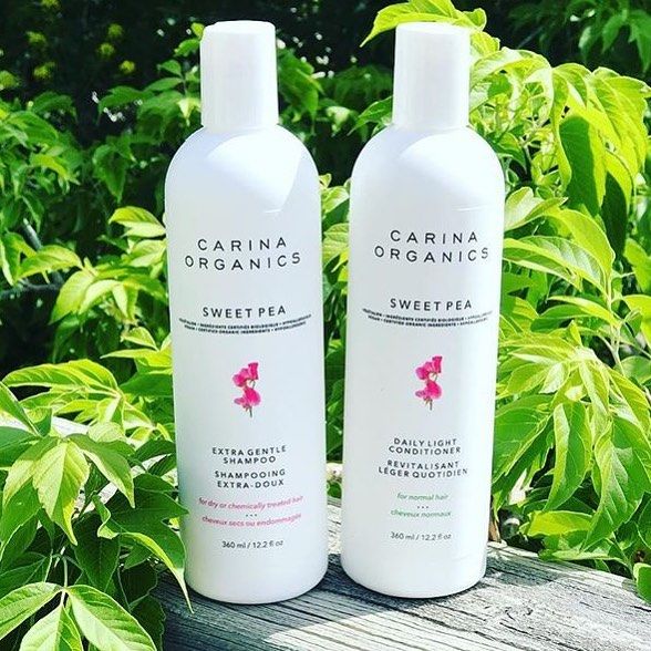 加拿大Carina Organics有机甜豌豆保湿洗发水 360ml装 恢复光泽不粘腻