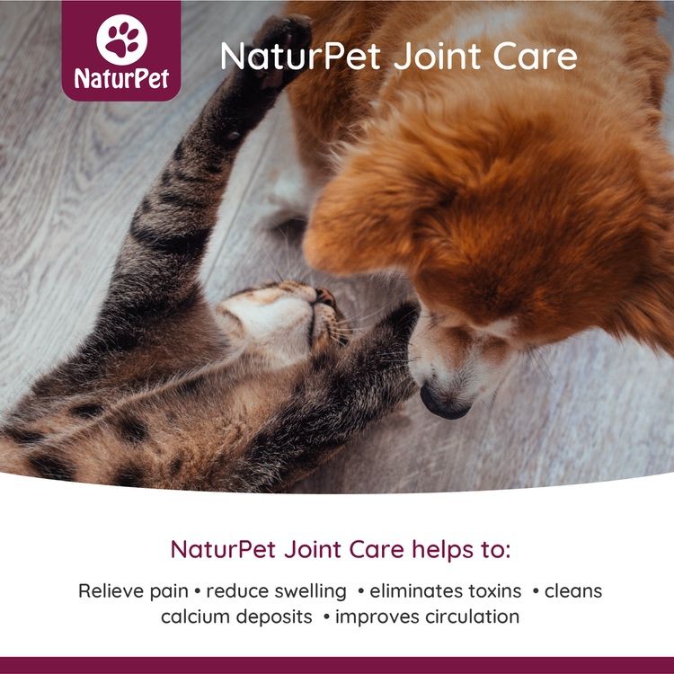 [宠物专用] 加拿大NaturPet关节养护滴剂 100ml 提高高龄宠物行动能力 清除关节钙沉积