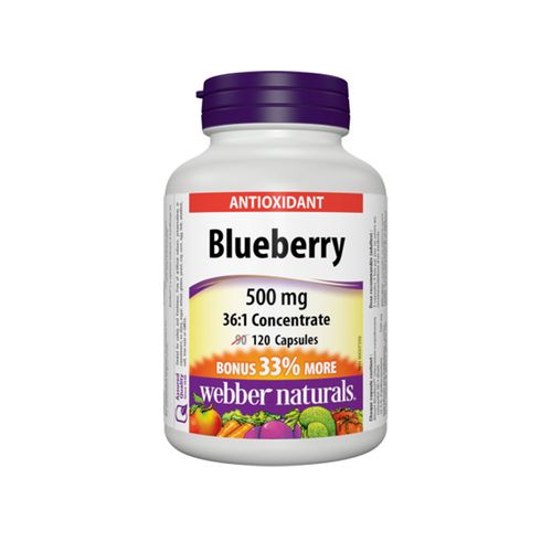Webber Naturals, Blueberry 36:1 Concentrate, 120 Capsules