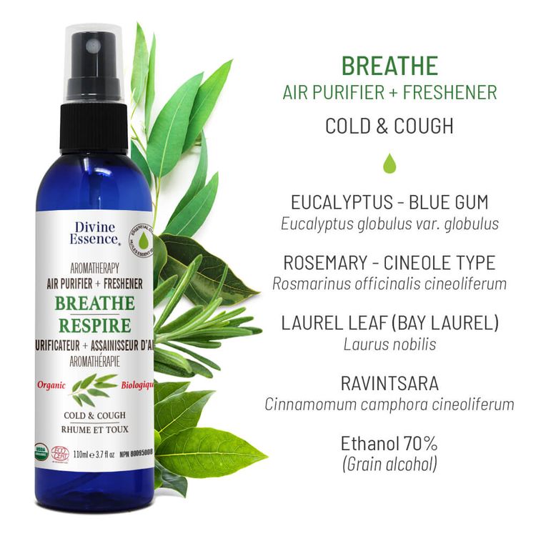 Divine Essence, Air Purifier, Breathe, 110ml