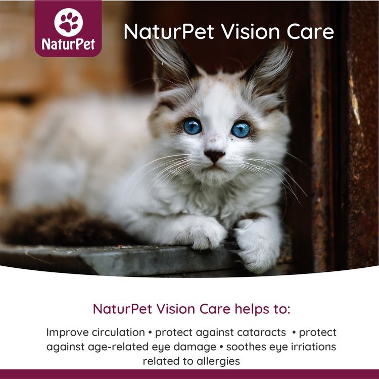 [宠物专用] 加拿大NaturPet护眼滴剂 100ml 预防白内障黄斑变性 以及衰老常见的近视