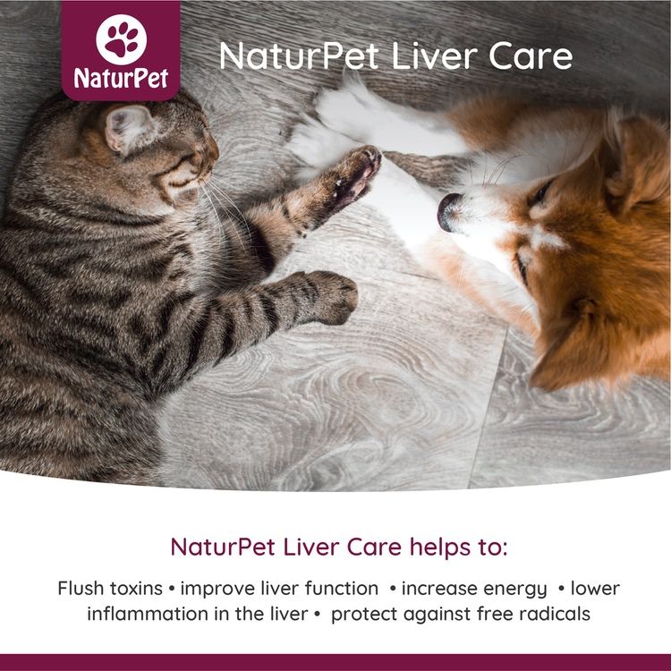 NaturPet, Liver Care, 100ml