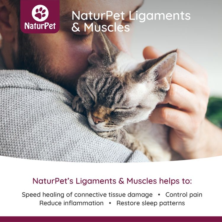[宠物专用] 加拿大NaturPet韧带肌肉天然止痛滴剂 100ml 可用于行动不便 前交叉韧带损伤