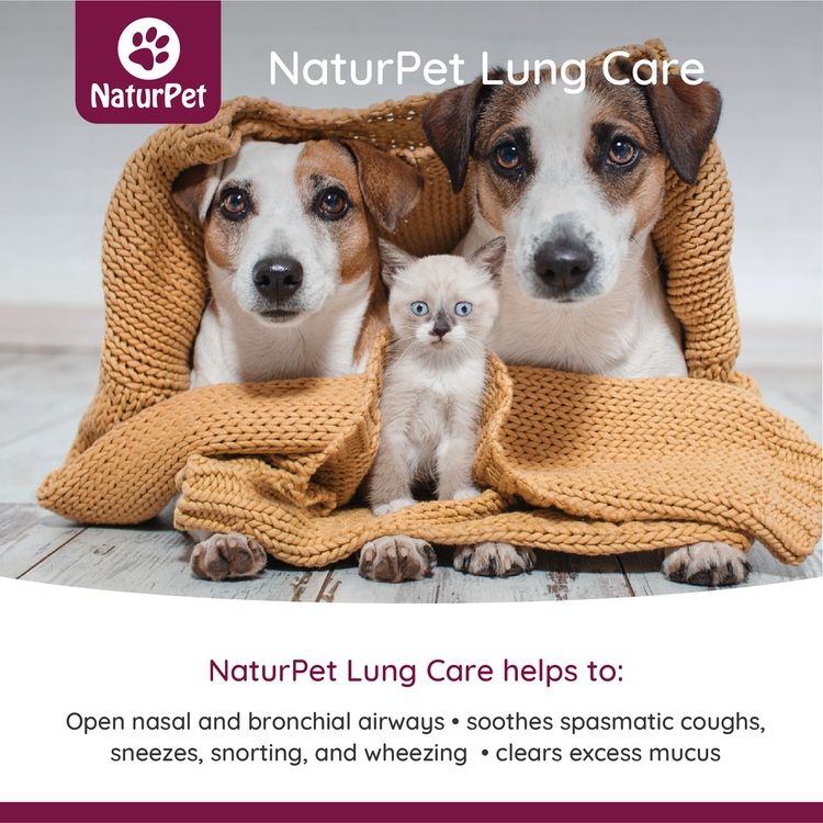 [宠物专用] 加拿大NaturPet清肺滴剂 100ml 有助缓解哮喘咳嗽肺部感染等