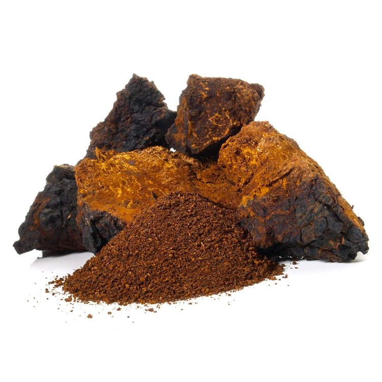 Stay Wyld, Chaga Mushroom Powder, 100g