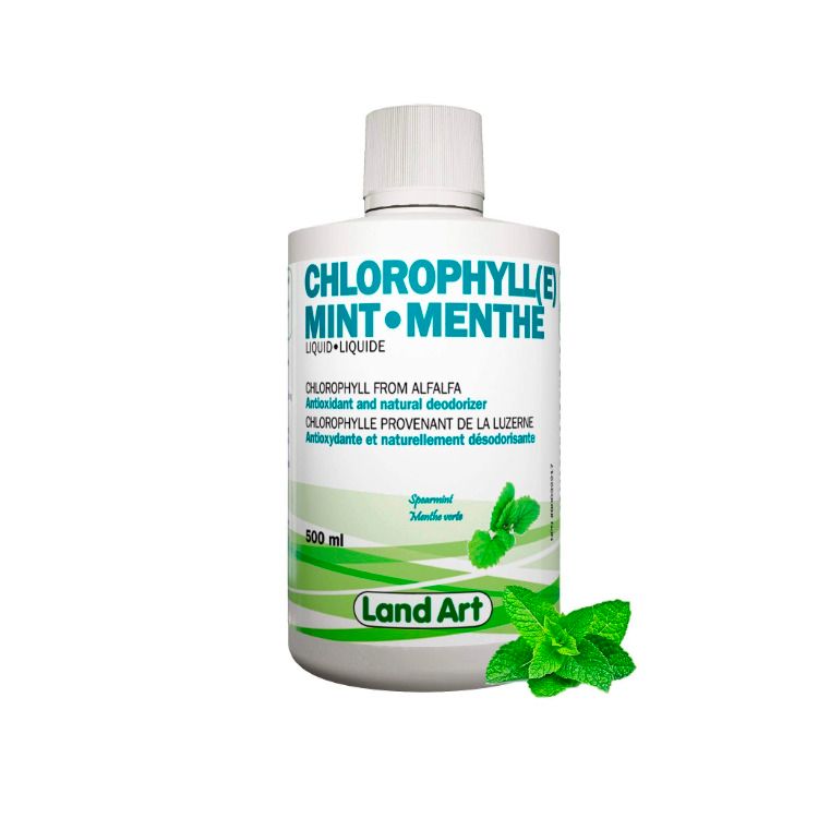 加拿大Land Art液体叶绿素 500ml 薄荷味 野生苜蓿提取 帮助排毒抗炎 消除体味