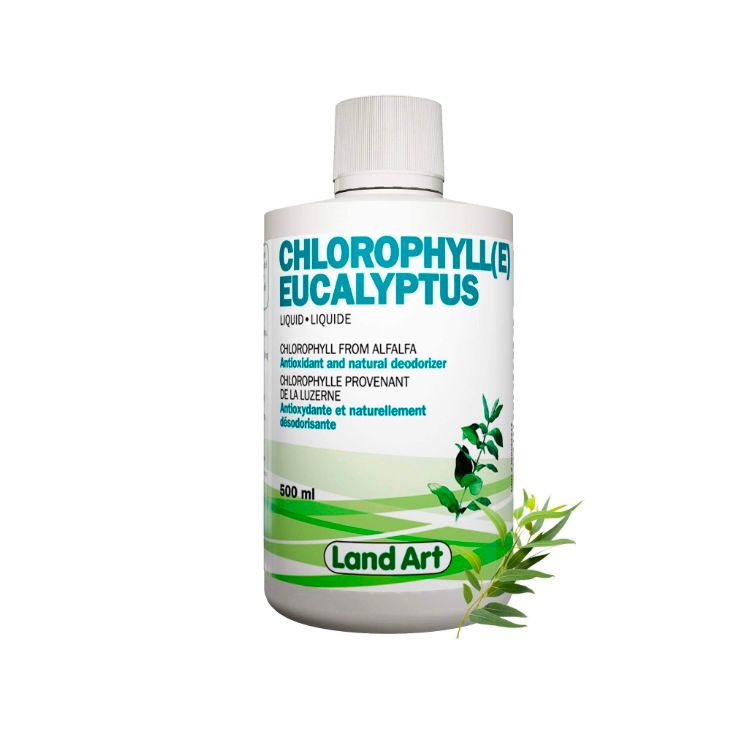 加拿大Land Art液体叶绿素 500ml 桉树油味 野生苜蓿提取 帮助排毒抗炎 消除体味