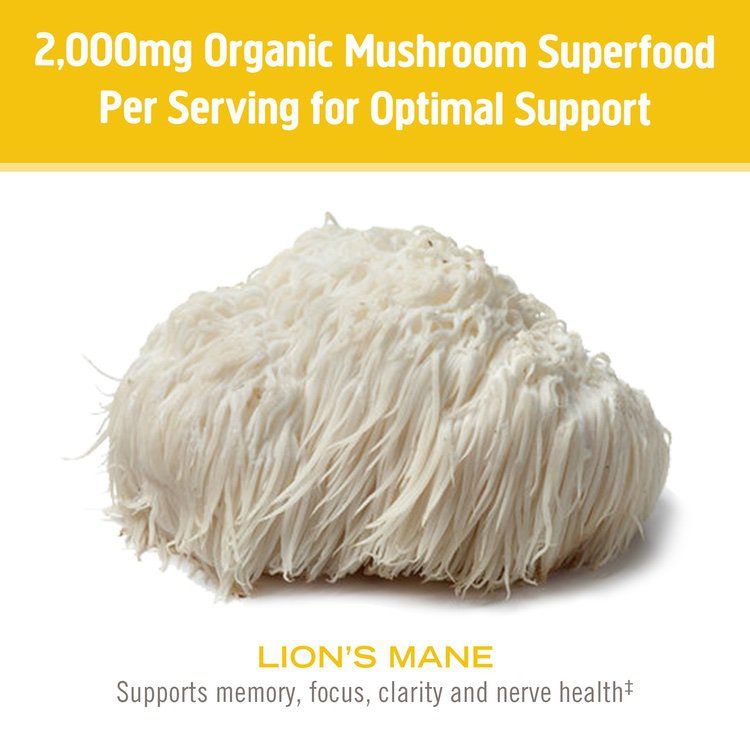 OM Mushroom, Superfood Powder, Lion's Mane, 60g