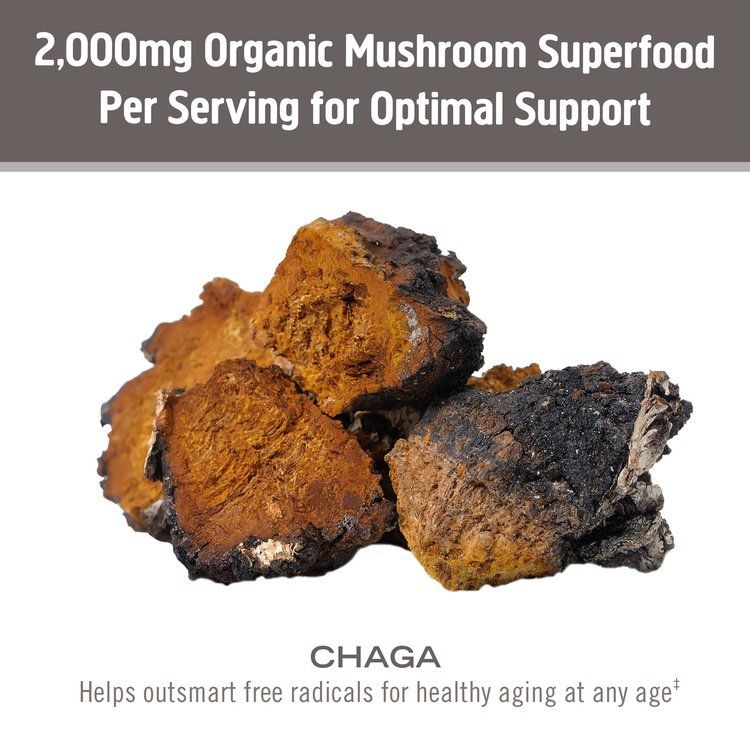 OM Mushroom, Superfood Powder, Chaga, 60g