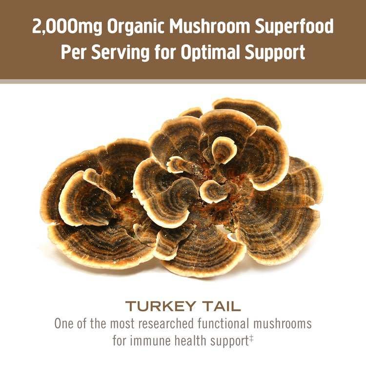 美国OM Mushroom认证有机云芝胶囊 75粒 提升整体免疫 减轻化疗副作用