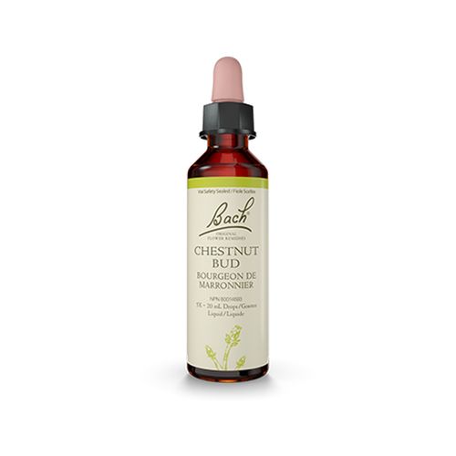 Bach, Flower Essences, Chestnut Bud, 20ml