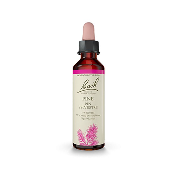 Bach, Flower Essences, Pine, 20ml