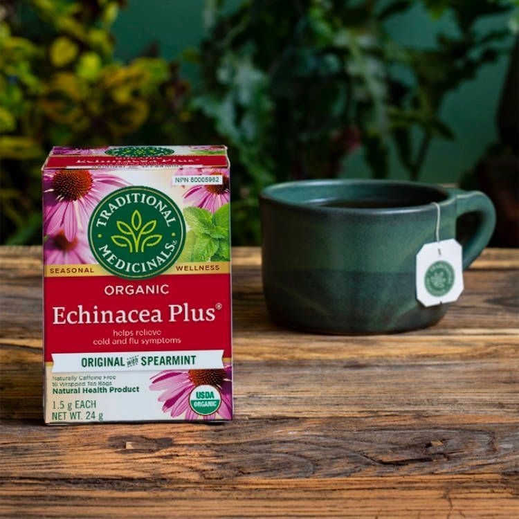 Traditional Medicinals, Organic Echinacea Plus, 16 Bags