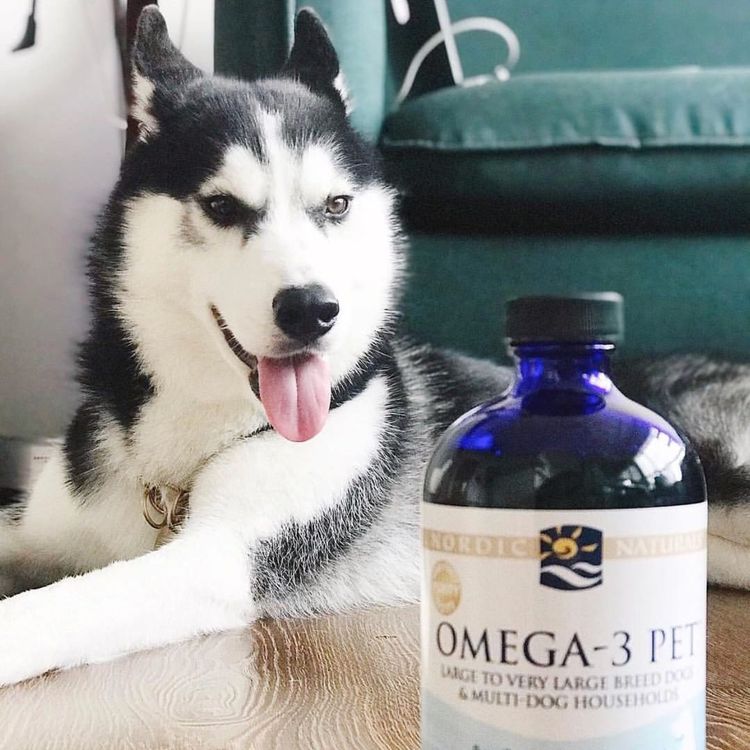 宠物专用] 美国Nordic Naturals挪威小鱼Omega-3深海鱼油适合中大型宠物