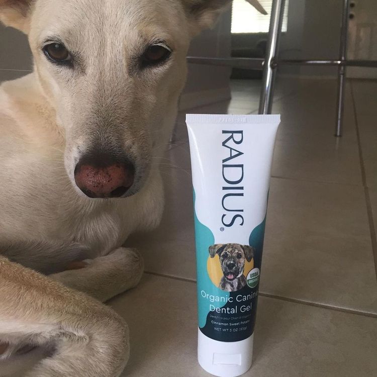 美国RADIUS有机狗狗牙膏 85g 适合所有年龄的狗 以有机椰子油为基底 自然美白 降低蛀牙风险
