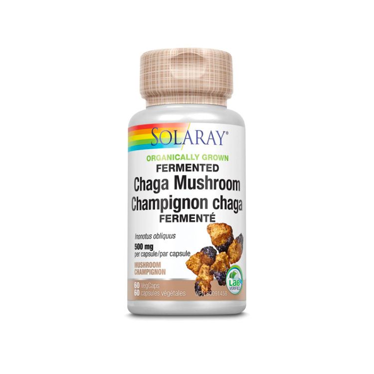 Solaray, Organically Grown Fermented Chaga Mushroom, 500mg, 60s