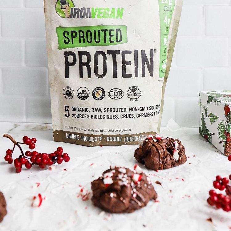 Buy Iron Vegan, Sprouted Protein, Double Chocolate, 500g for 34.99