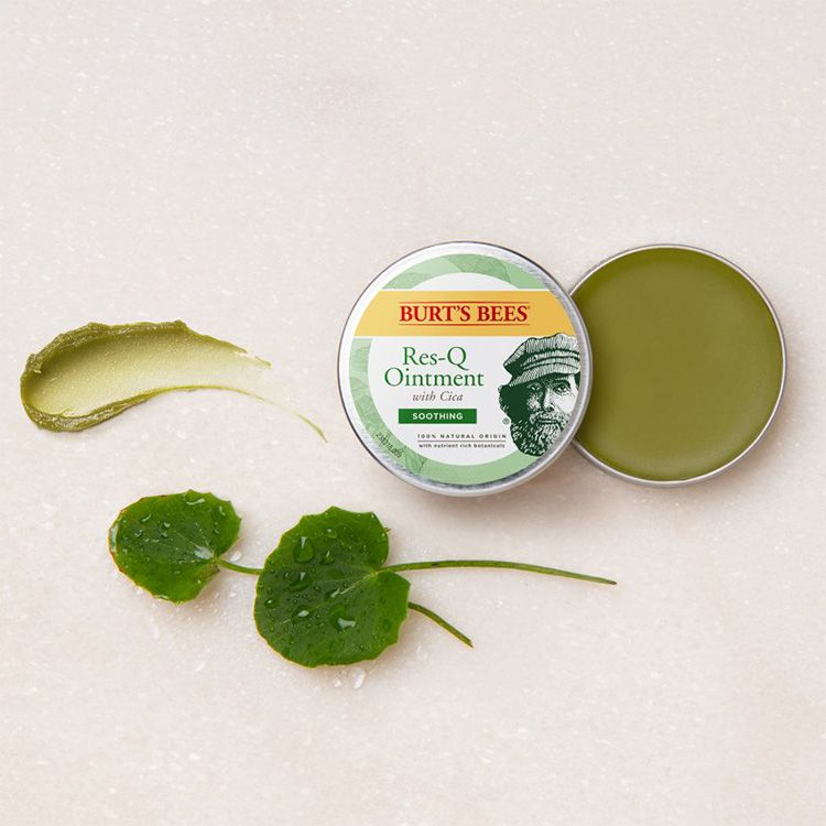 Buy Burt‘s Bees, ResQ Ointment, 17g for 7.49 Lifeplus Natural Health
