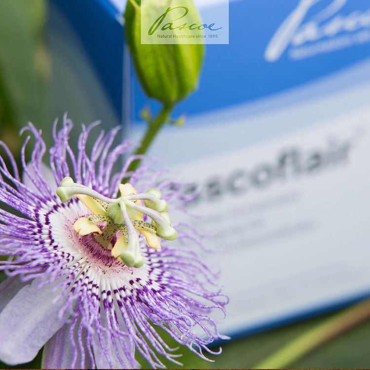 Pascoe, Pascoflair, 30 Tablets - Pascoe | Lifeplus Natural Health