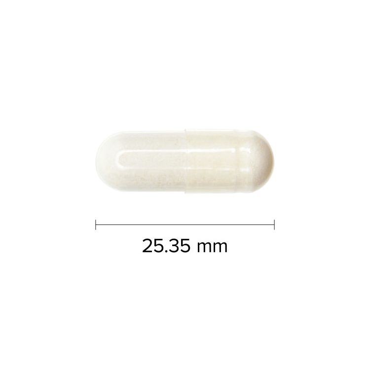 Webber Naturals, Glucosamine Chondroitin,  Double Strength, 500mg/400mg, 144 Capsules