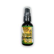 VSC, Bee Propolis with Mint, 30 ml