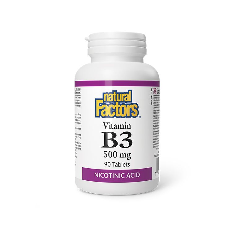 Natural Factors, Vitamin B3, 500 mg, 90 tables