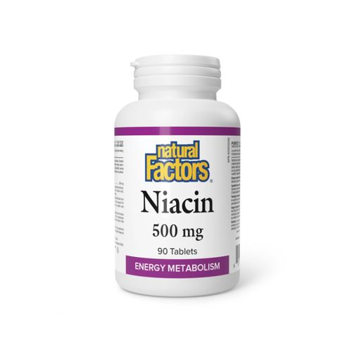 加拿大Natural Factors维生素B3 500mg/90片 烟酸形式 降低胆固醇 维护心血管健康