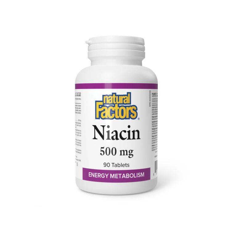 Natural Factors, Vitamin B3, Niacin, Nicotinic Acid, 500 mg, 90 tables - Natural Factors | Lifeplus Natural Health