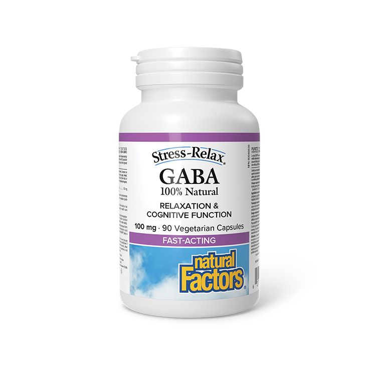 Natural Factors, 100% Natural GABA 100mg Stress-Relax, 90 Vegetarian Capsules