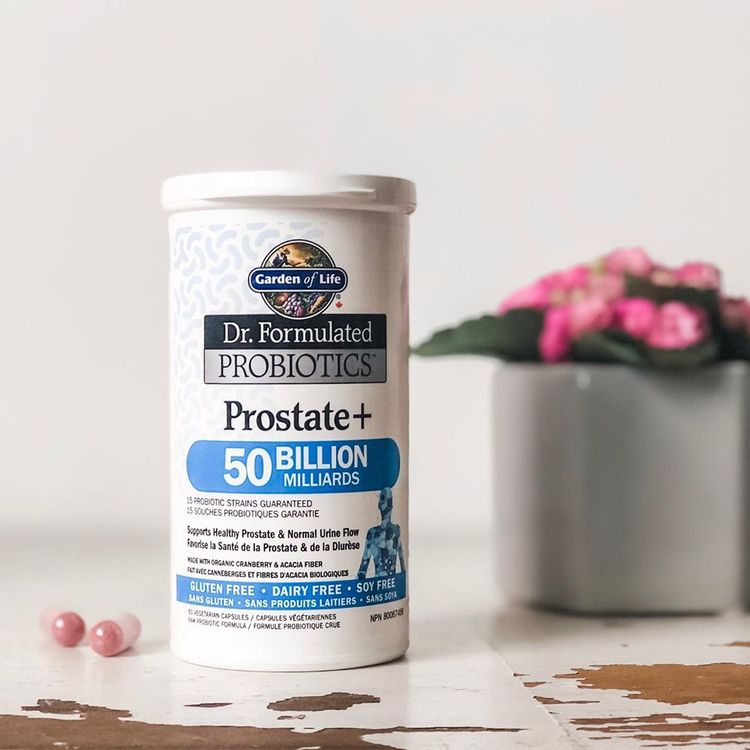 Garden of Life, Dr. Formulated Probiotics Prostate+ Vcaps, 60 Capsules ...