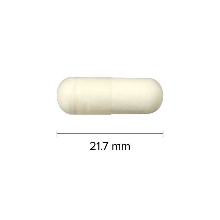 ber Naturals, Apple Cider Vinegar 500 mg, 240 Capsules Lifeplus